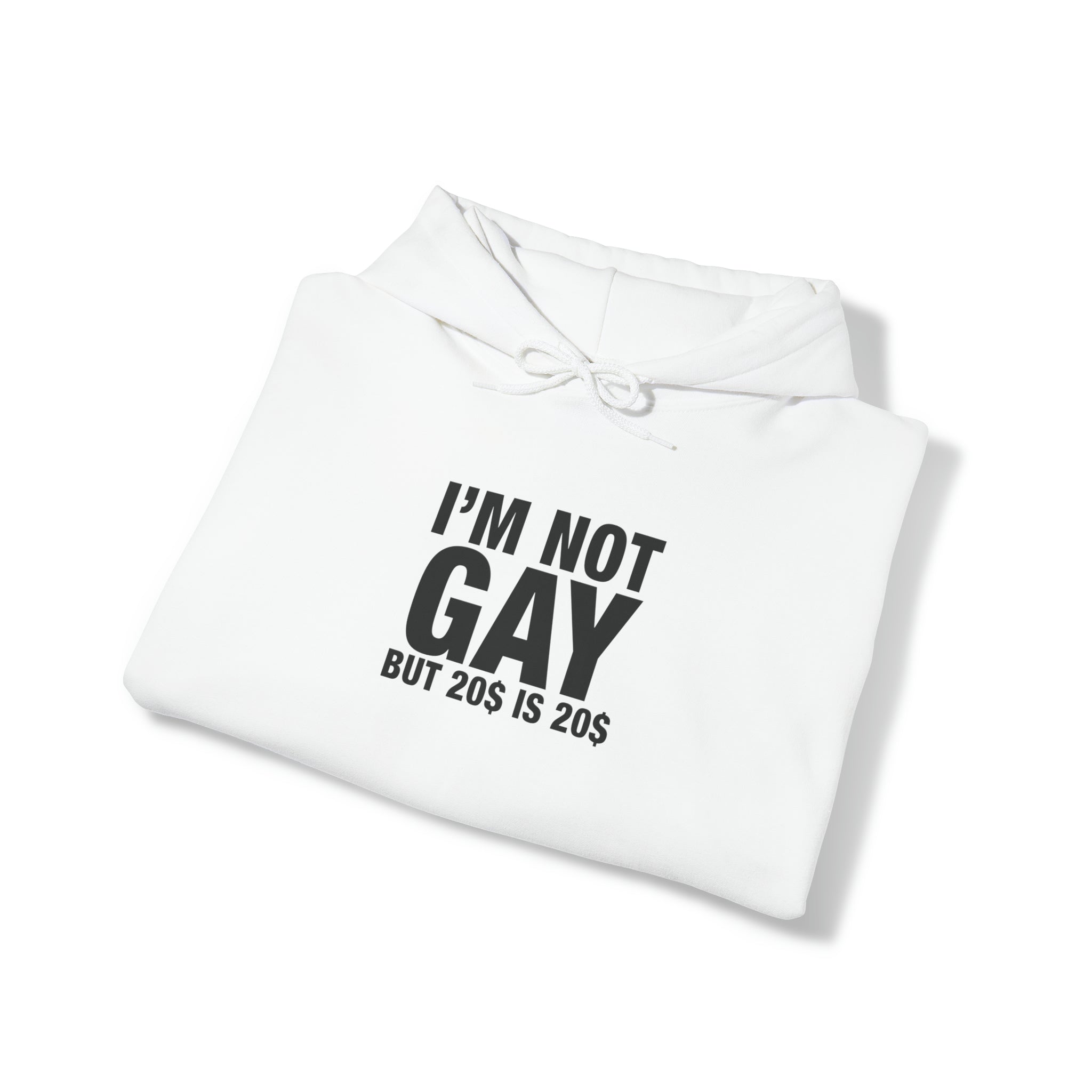 "I'm Not Gay" Hoodie