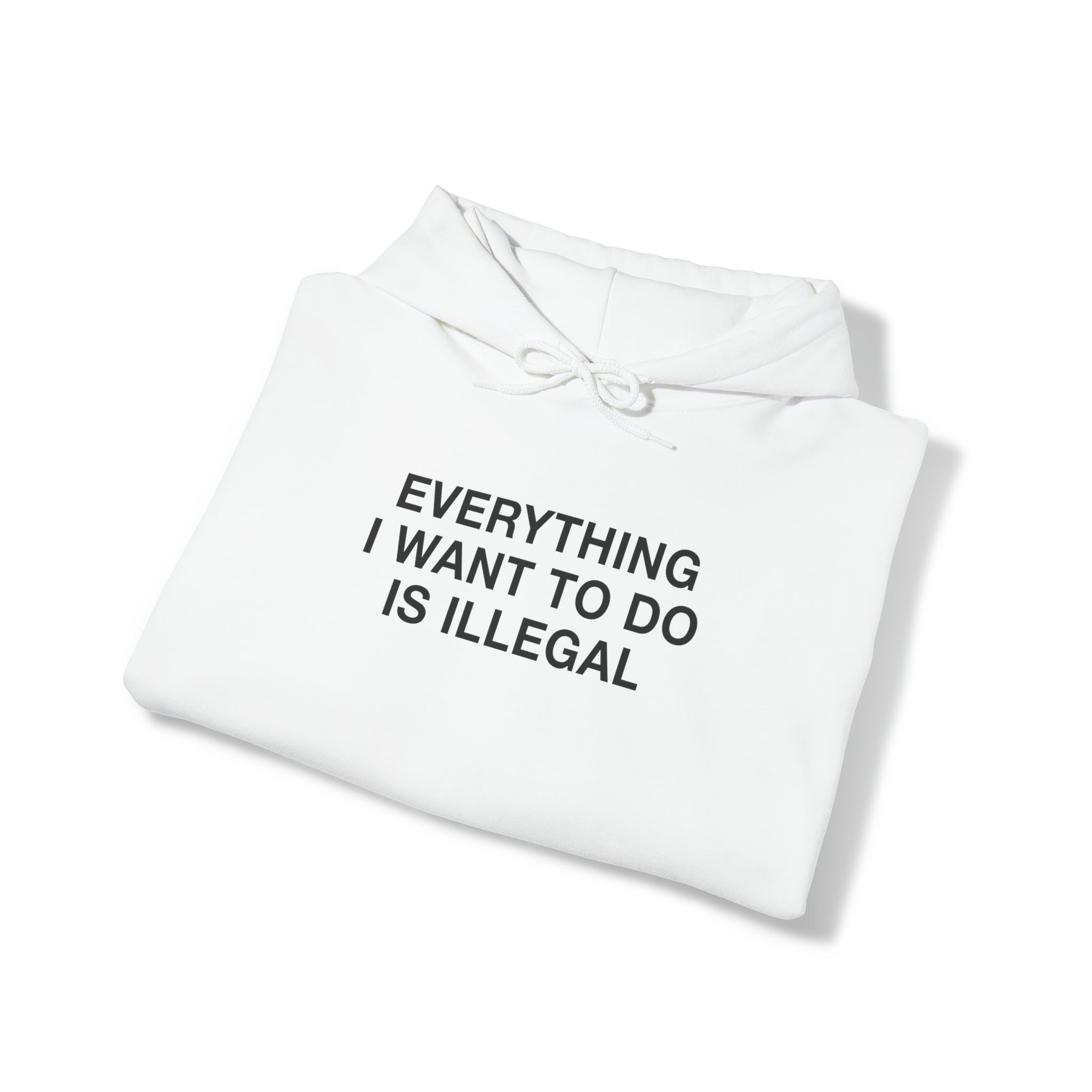 "Everything I Want To Do Is Illegal" Hoodie