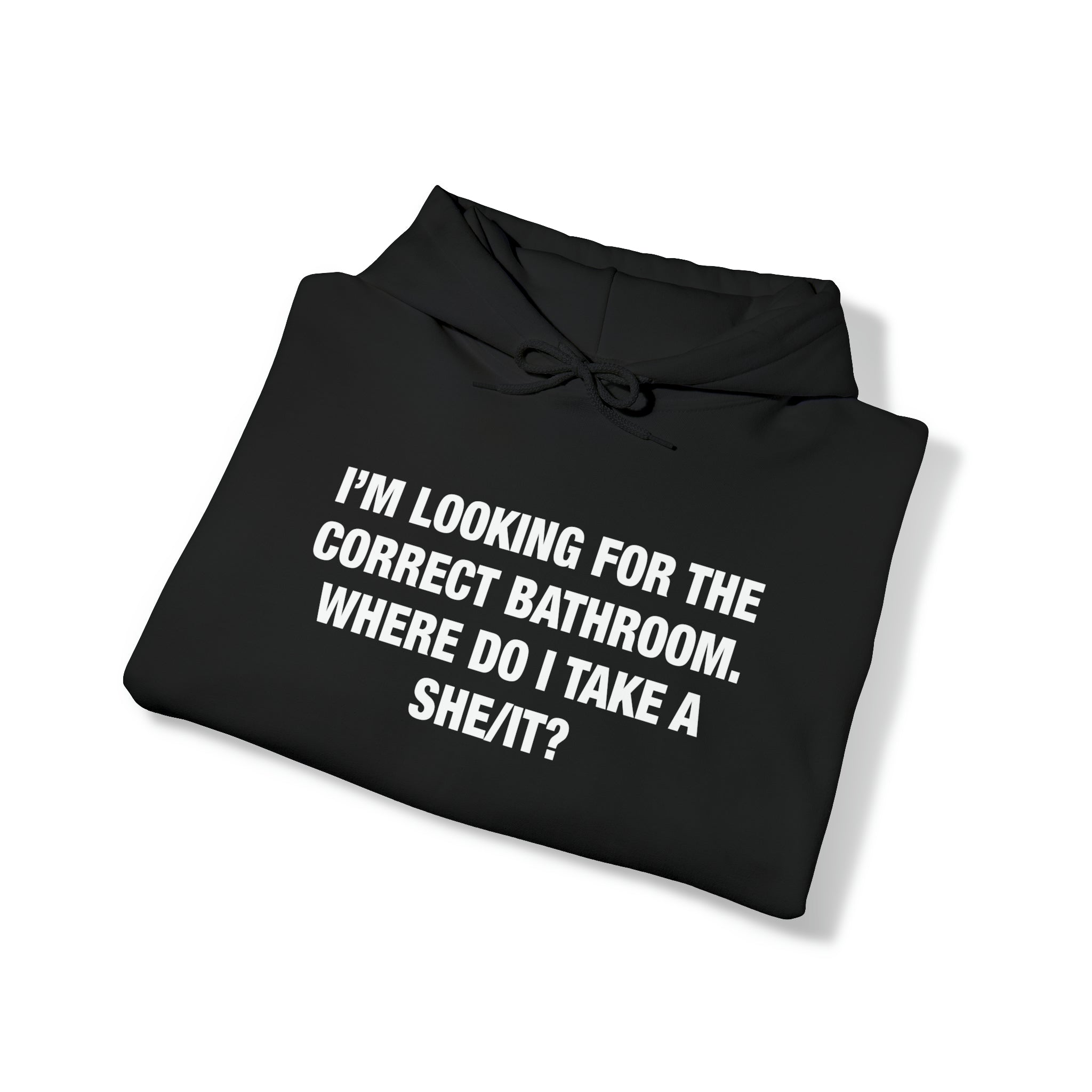 "Where Do I Take A She/It?" Hoodie