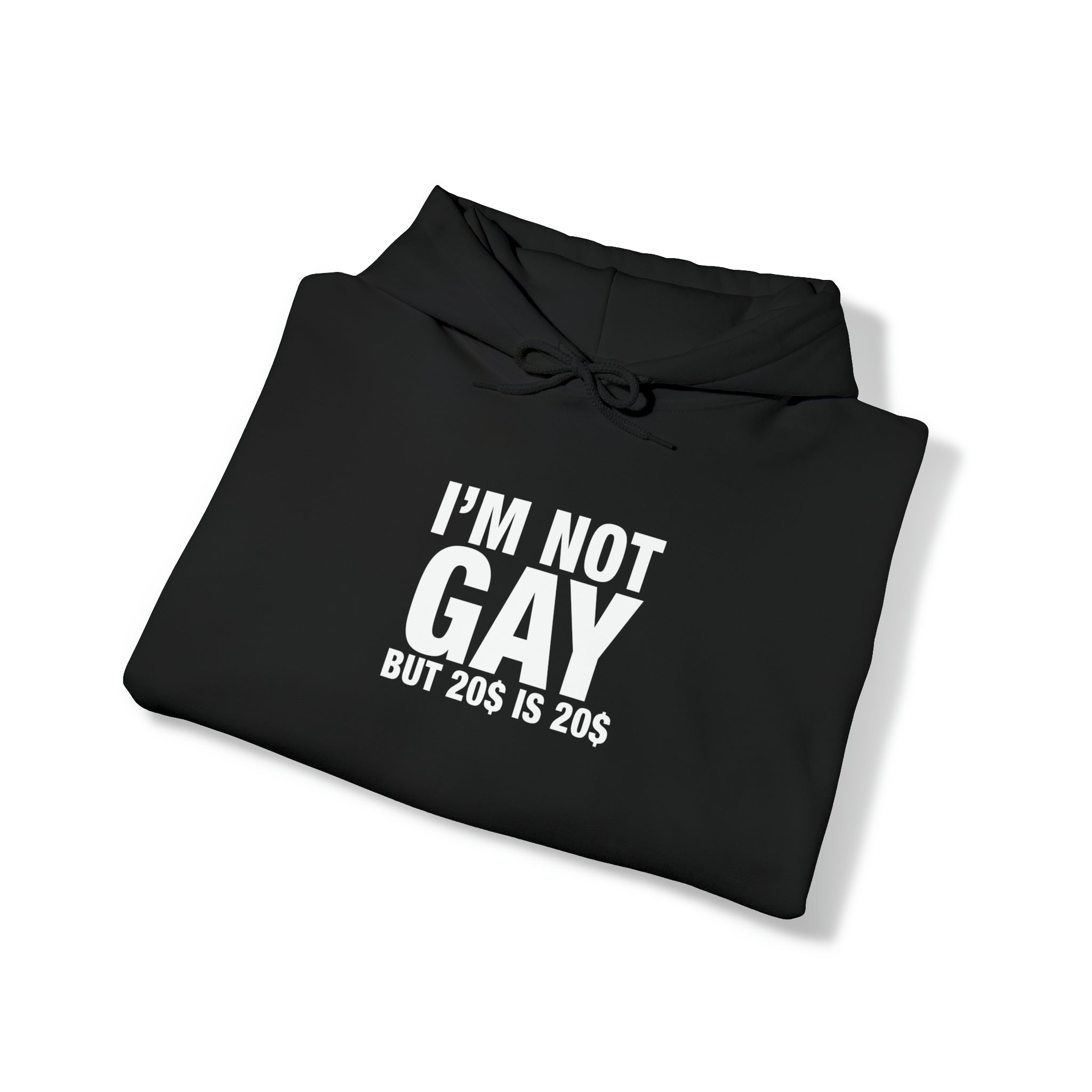 "I'm Not Gay" Hoodie